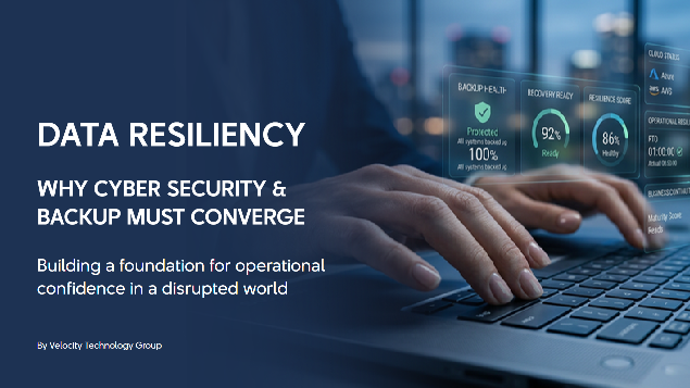 DATA RESILIENCY PDF Image